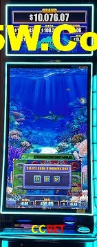Live Casino CCbet
